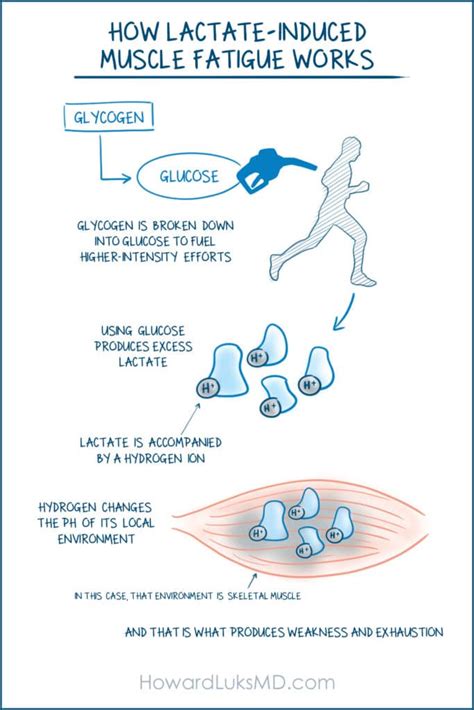 What is lactate threshold and how does it affect exercise .